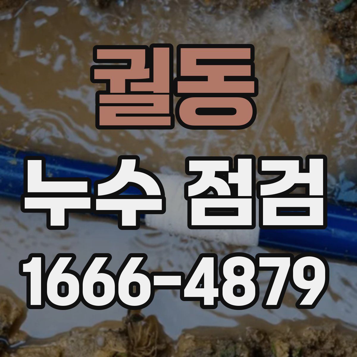 궐동 누수 점검