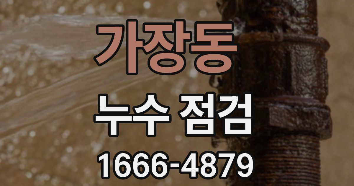 가장동 누수 점검
