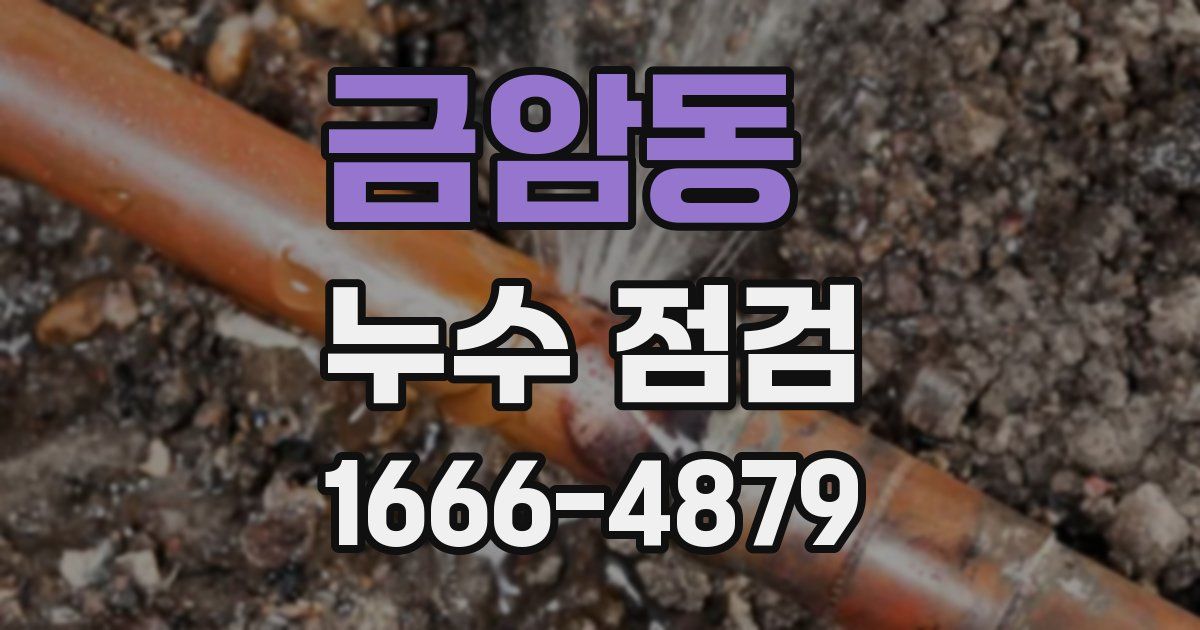 금암동 누수 점검