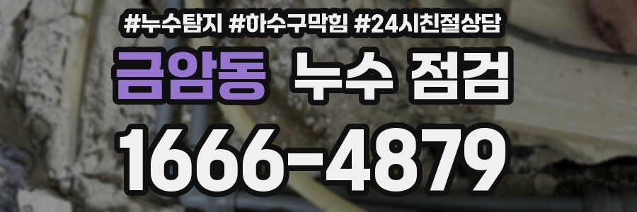 금암동 누수 점검