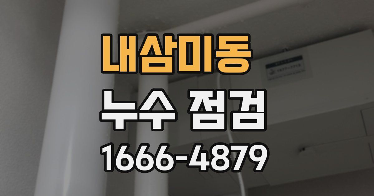 내삼미동 누수 점검
