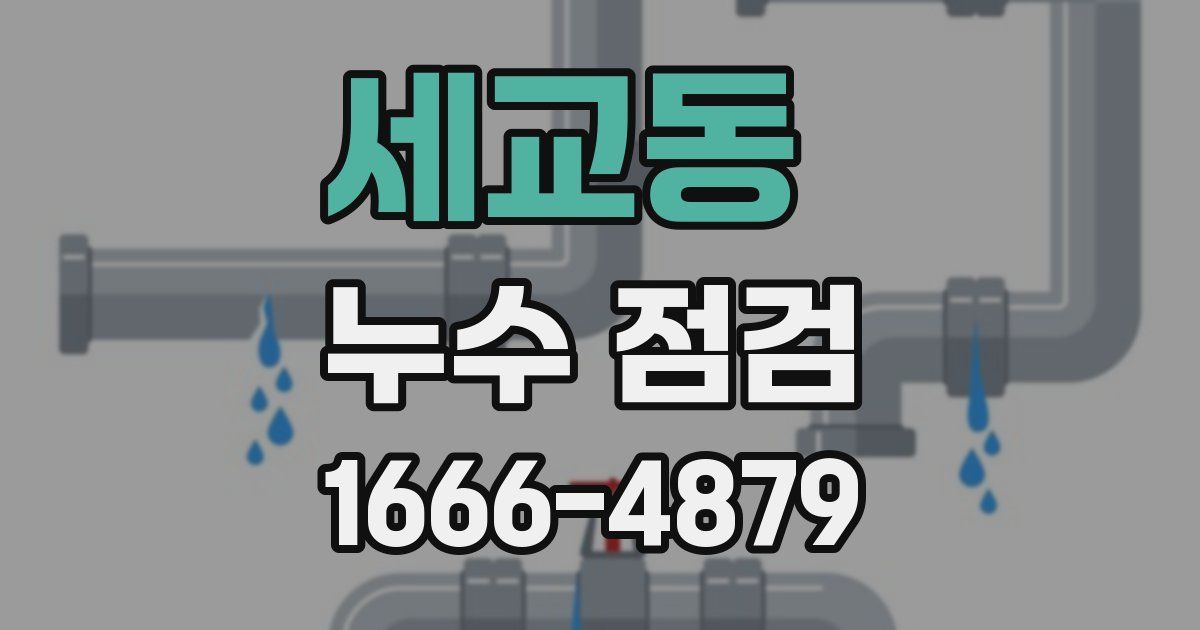 세교동 누수 점검