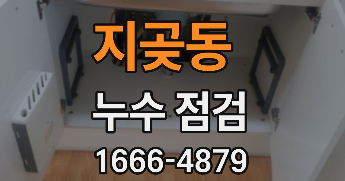 지곶동 누수 점검