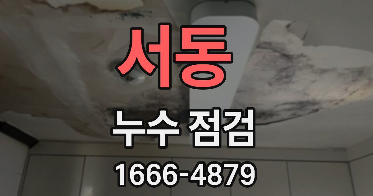 서동 누수 점검