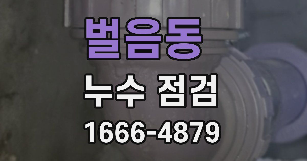 벌음동 누수 점검