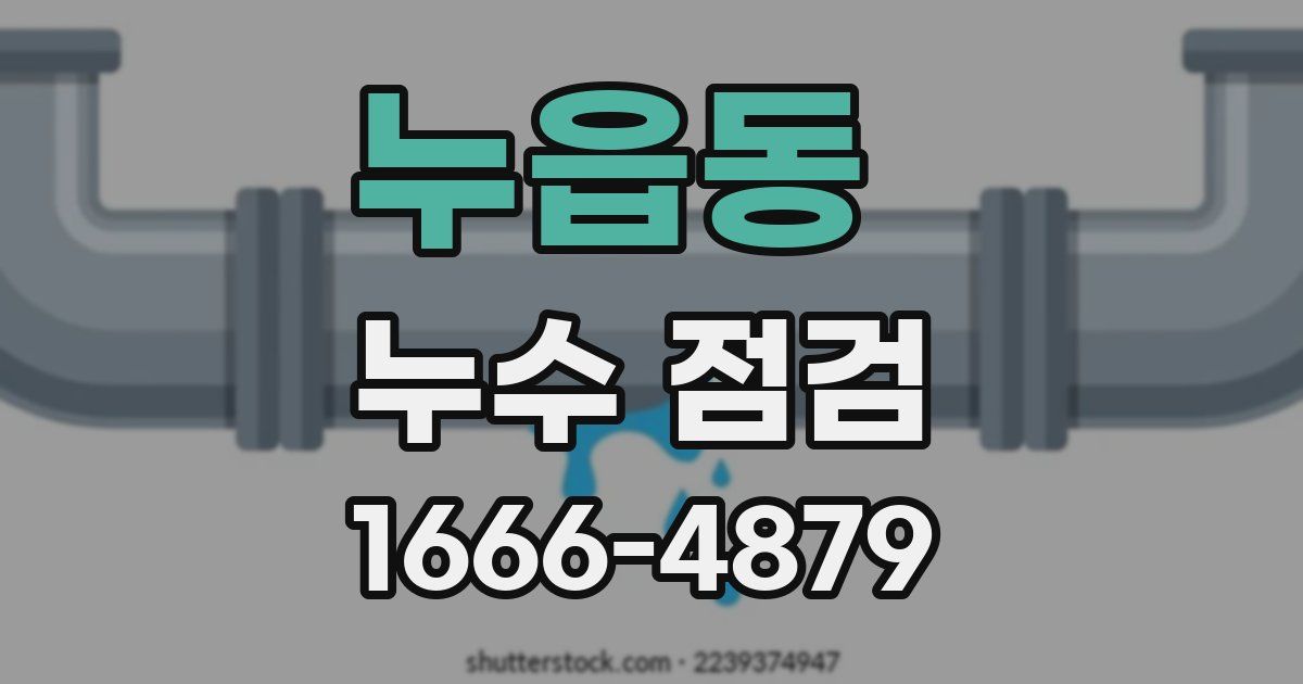 누읍동 누수 점검