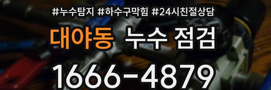 대야동 누수 점검