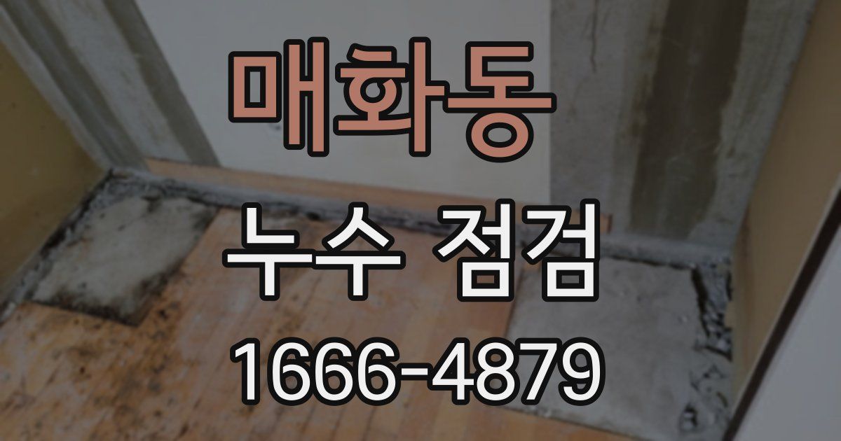 매화동 누수 점검