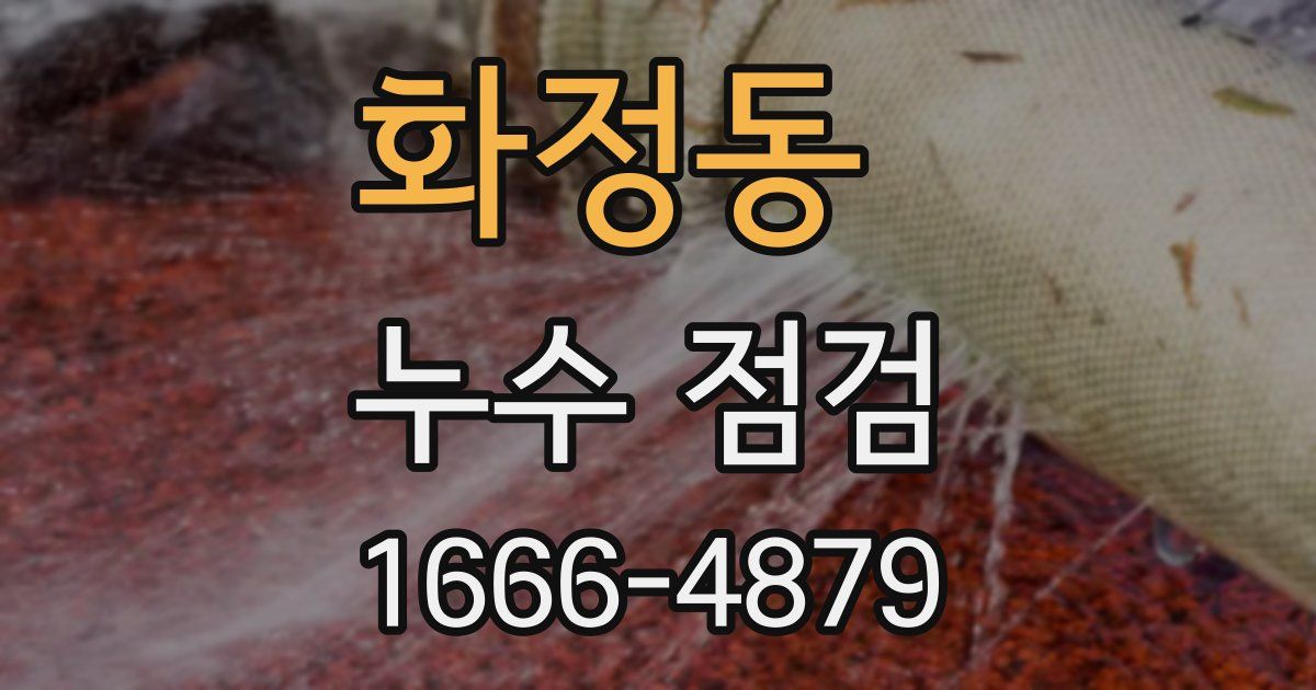 화정동 누수 점검
