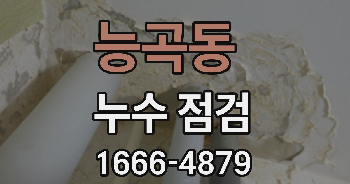 능곡동 누수 점검