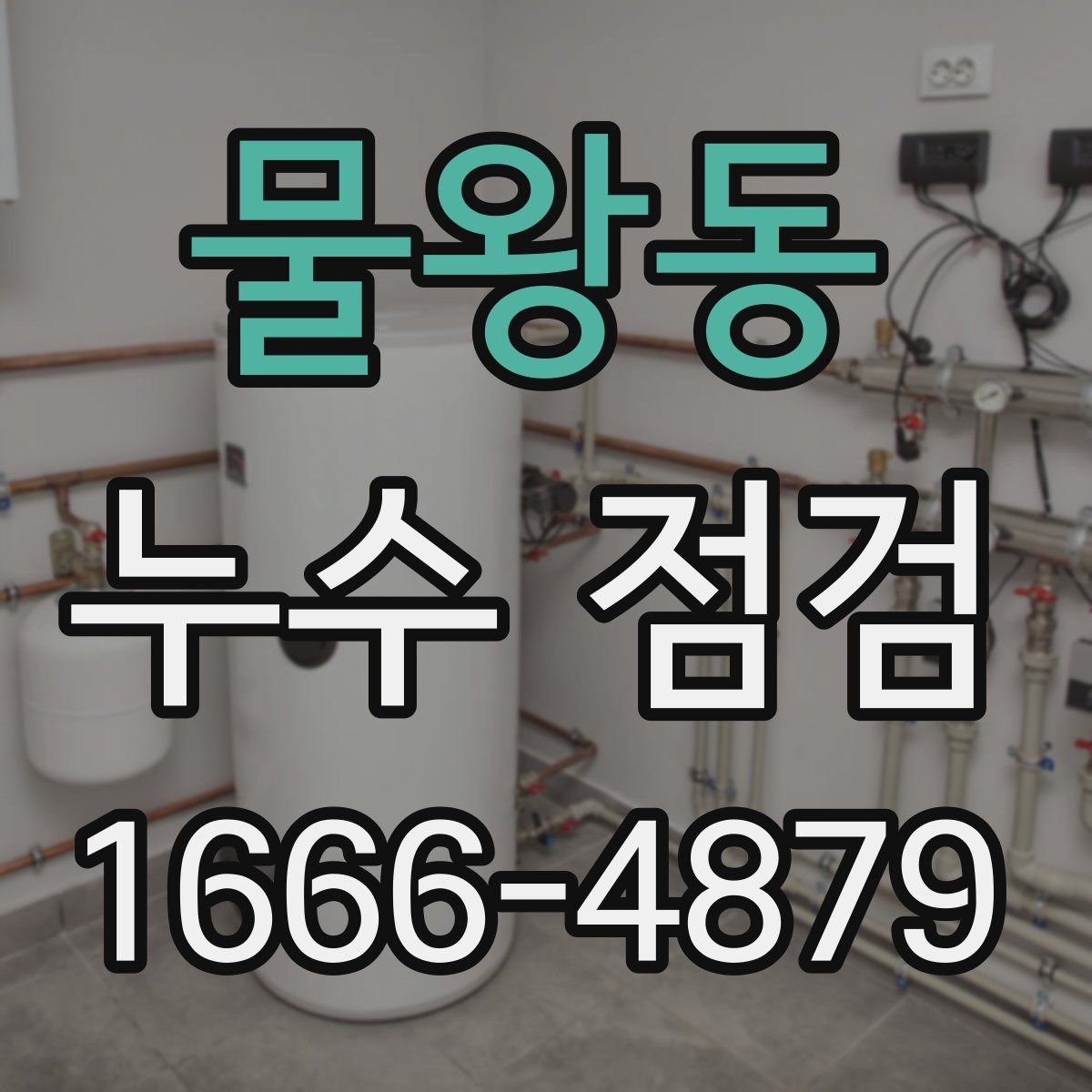 물왕동 누수 점검