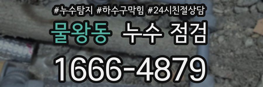 물왕동 누수 점검