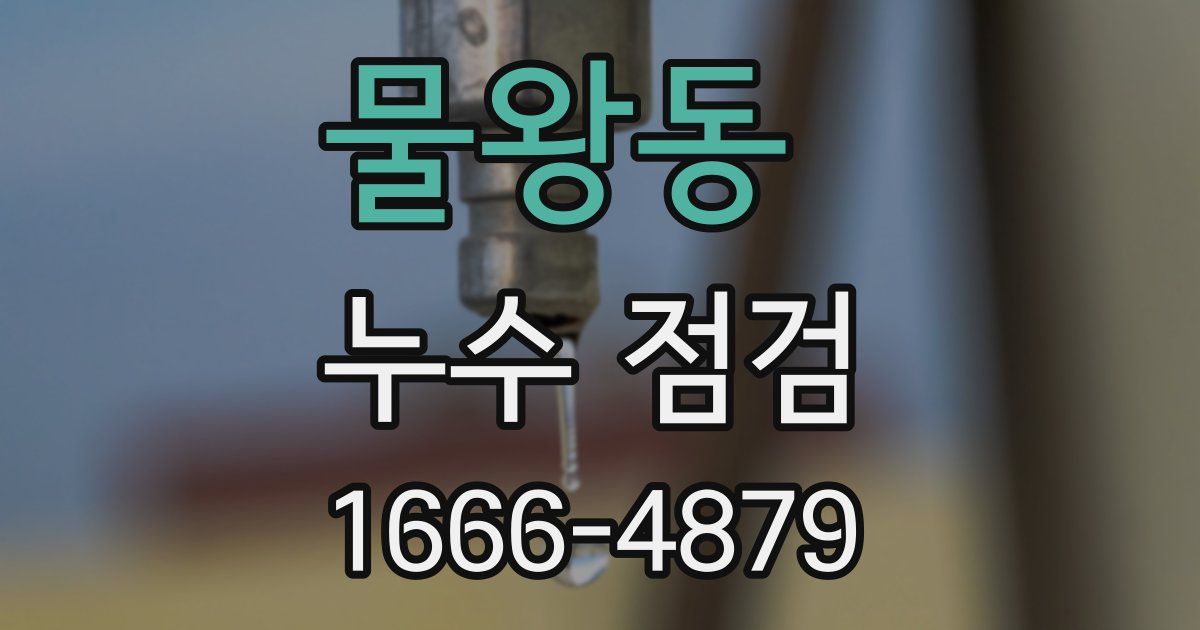 물왕동 누수 점검