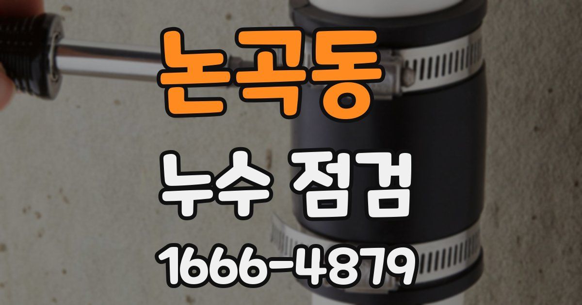 논곡동 누수 점검
