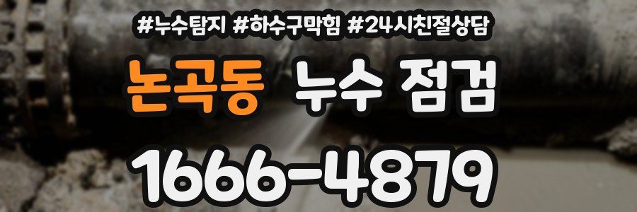 논곡동 누수 점검