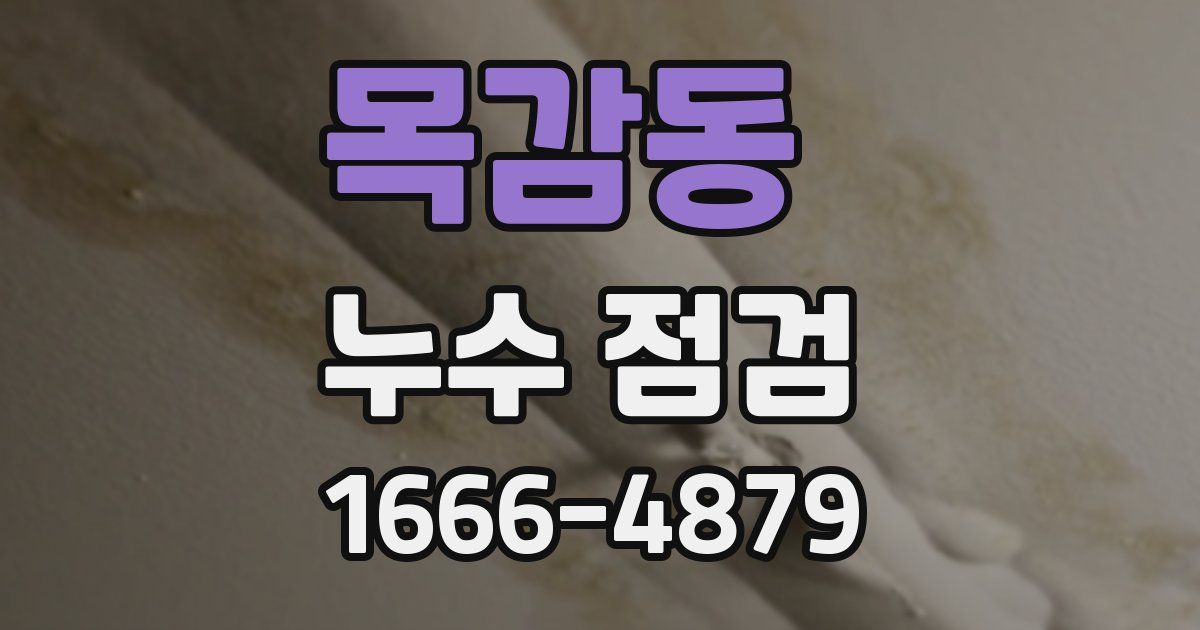 목감동 누수 점검