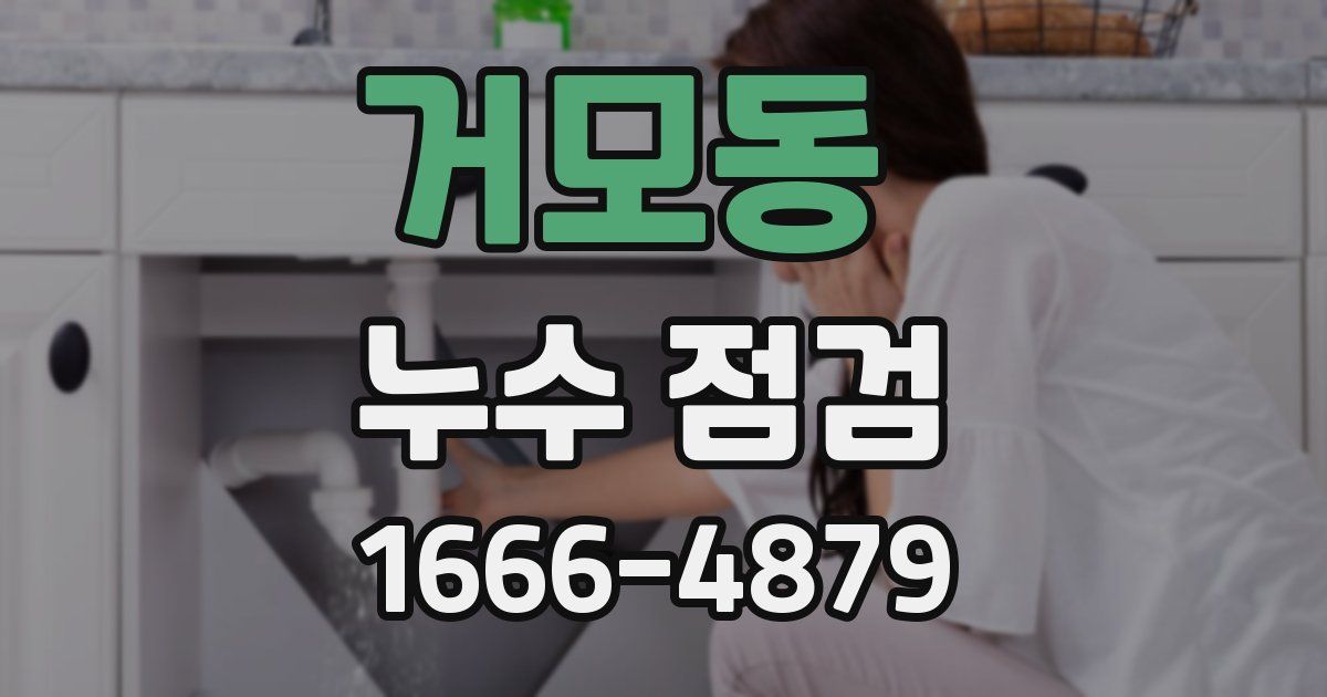 거모동 누수 점검