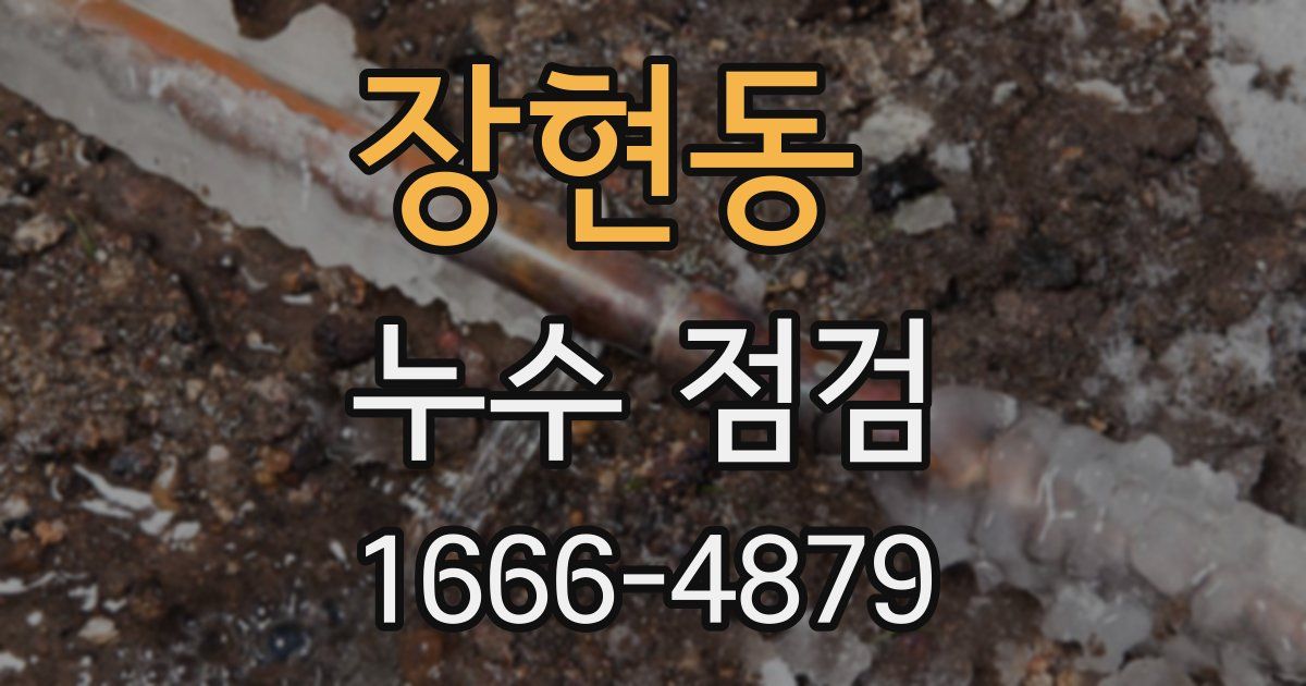 장현동 누수 점검