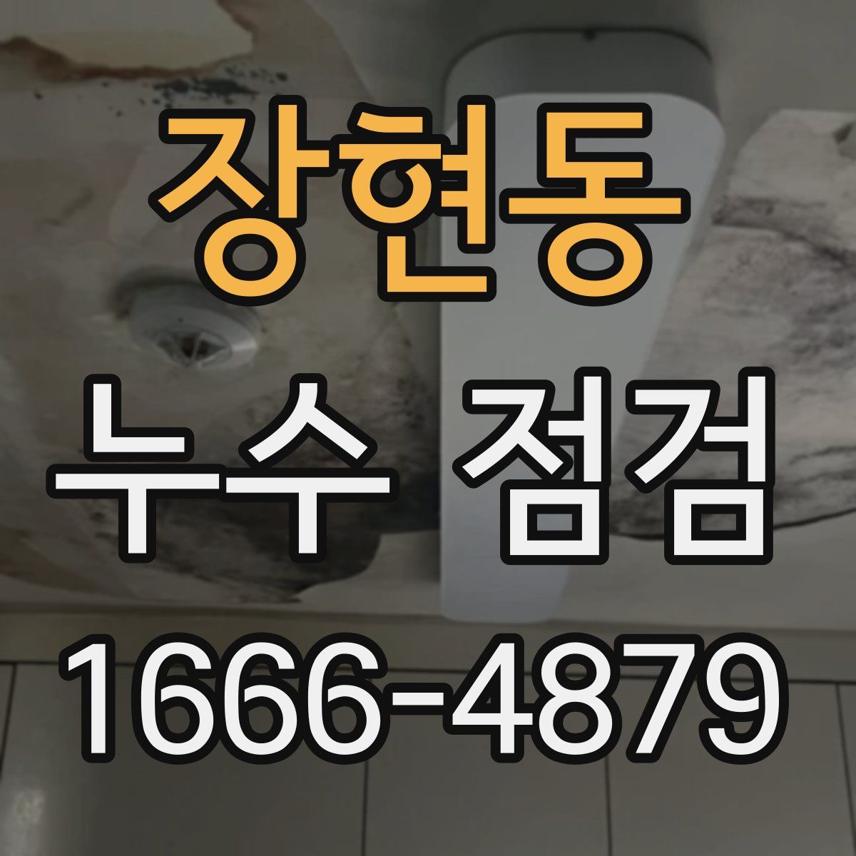 장현동 누수 점검
