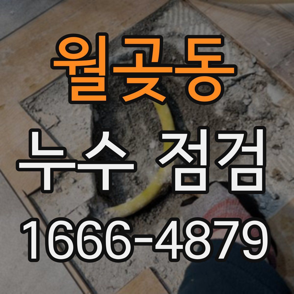 월곶동 누수 점검