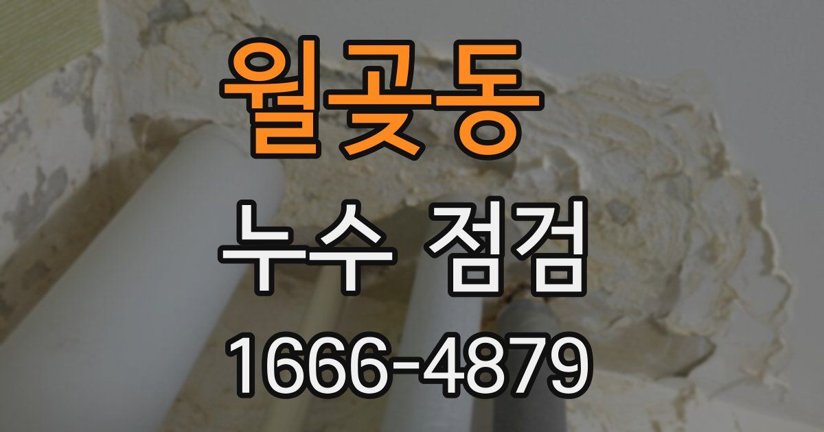 월곶동 누수 점검