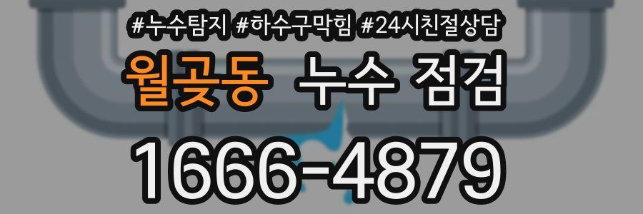 월곶동 누수 점검
