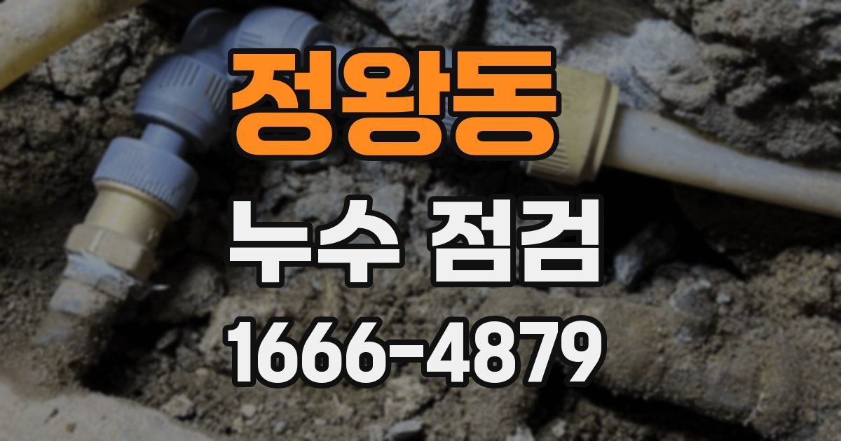 정왕동 누수 점검