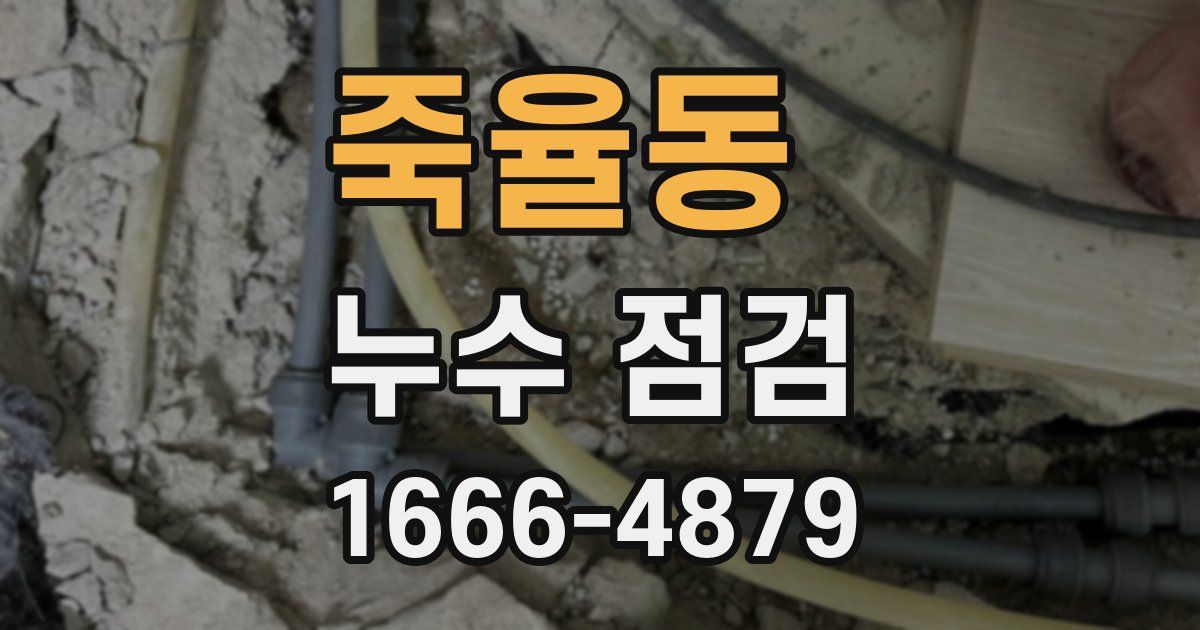 죽율동 누수 점검