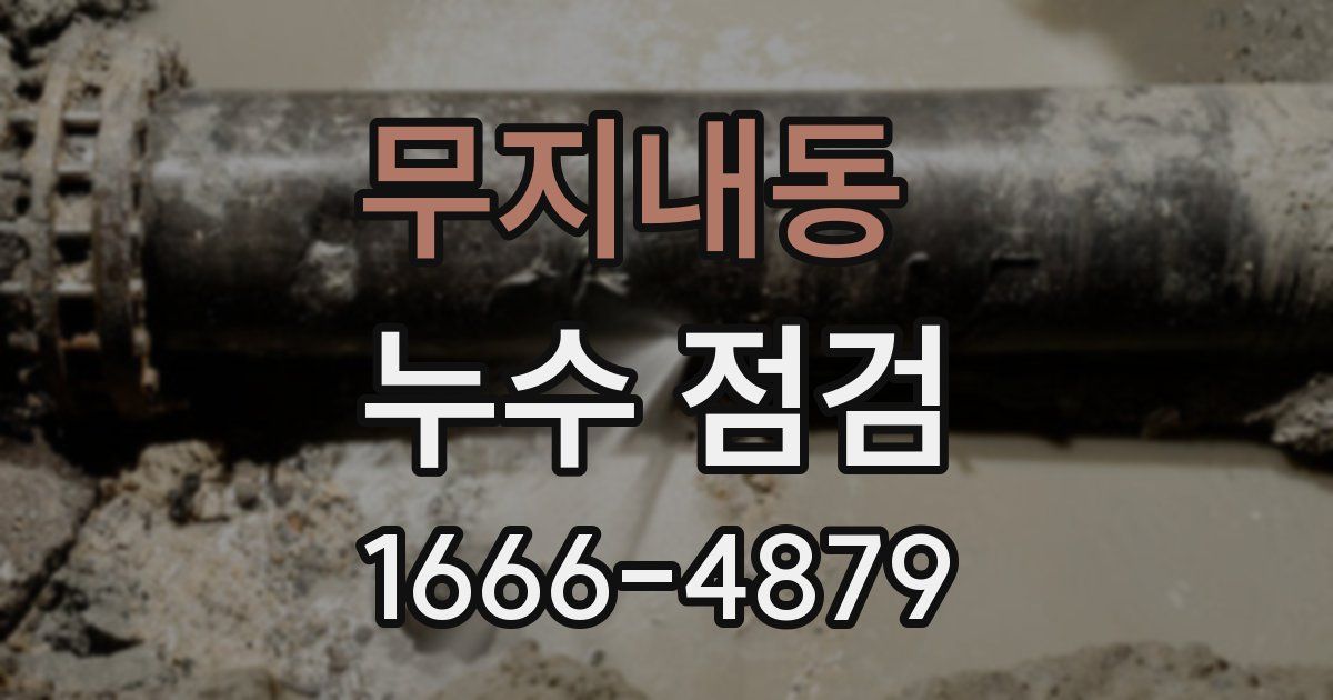 무지내동 누수 점검