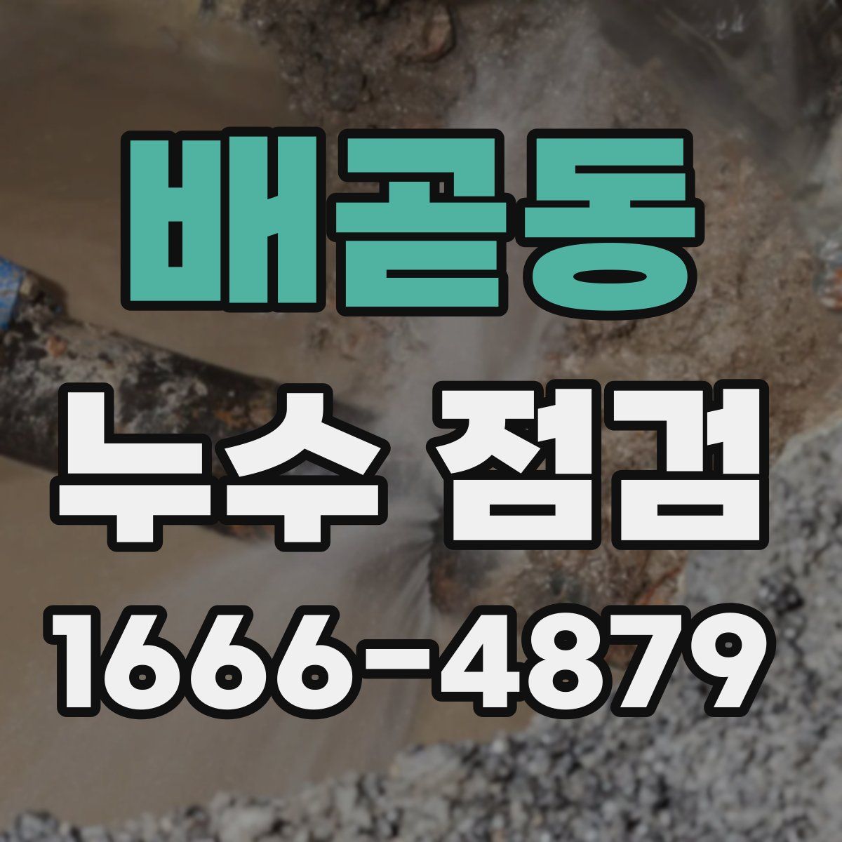 배곧동 누수 점검