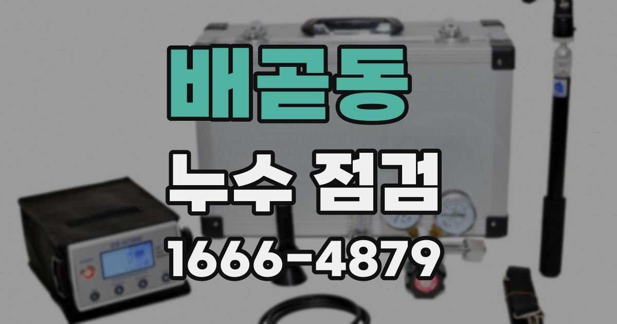 배곧동 누수 점검
