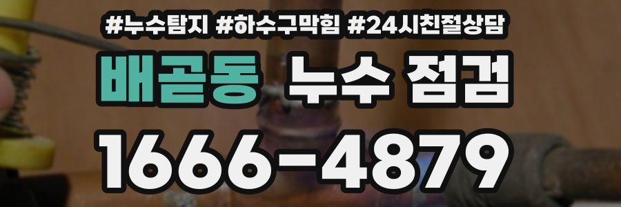 배곧동 누수 점검