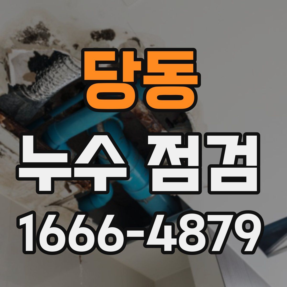 당동 누수 점검