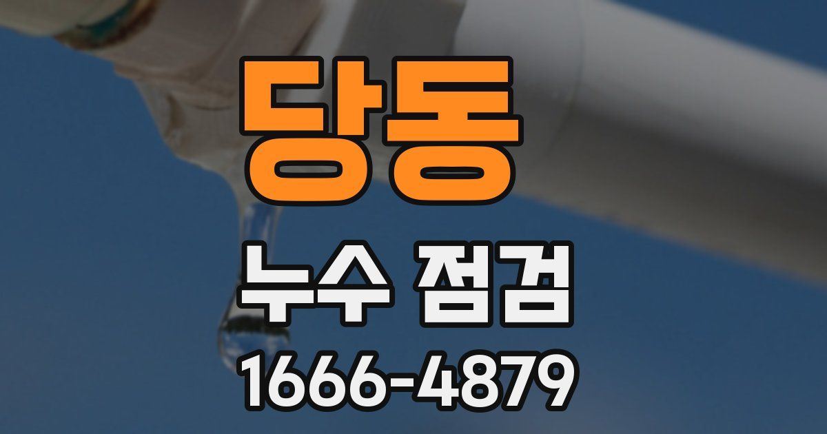 당동 누수 점검