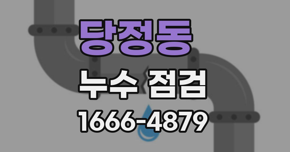 당정동 누수 점검