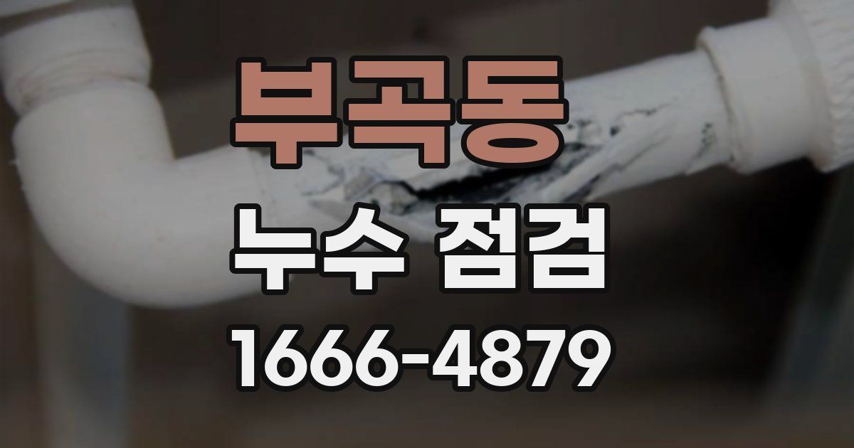 부곡동 누수 점검