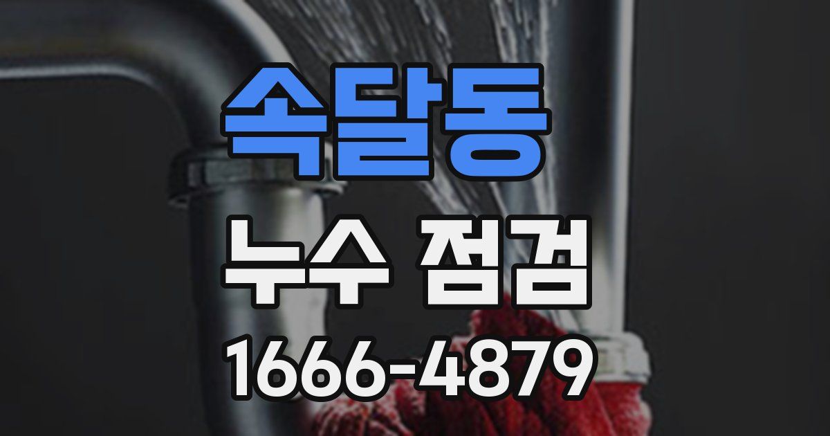 속달동 누수 점검