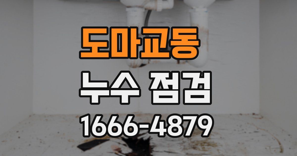 도마교동 누수 점검