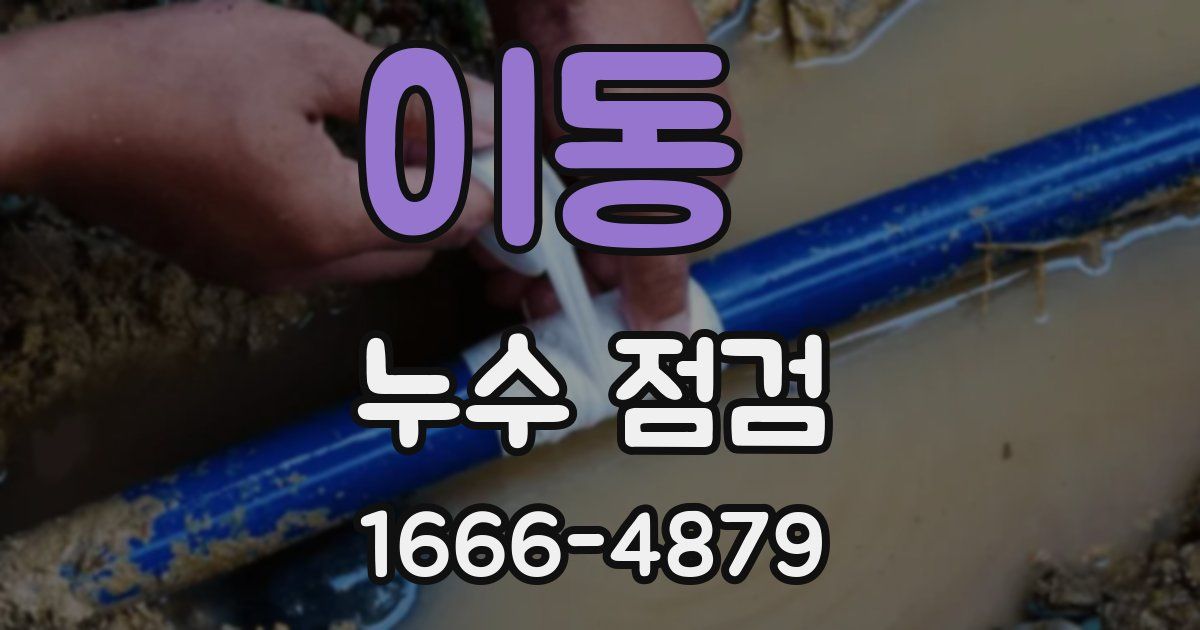 이동 누수 점검