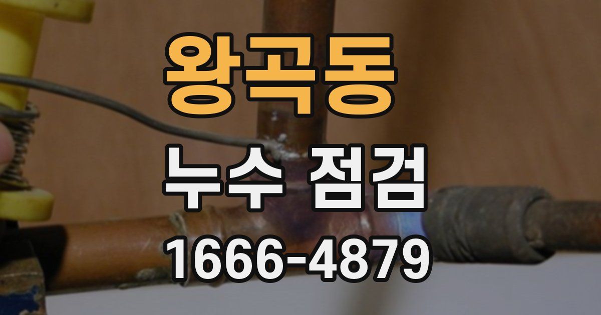 왕곡동 누수 점검