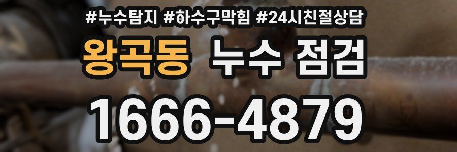 왕곡동 누수 점검