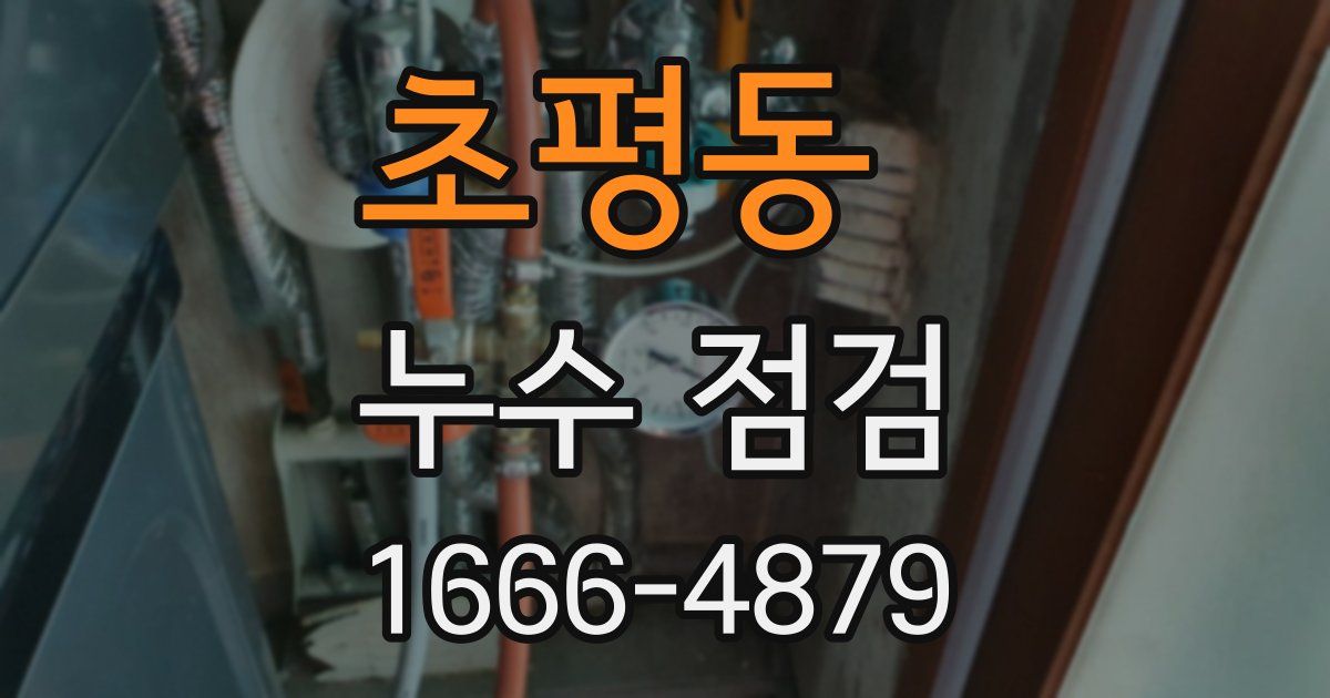 초평동 누수 점검