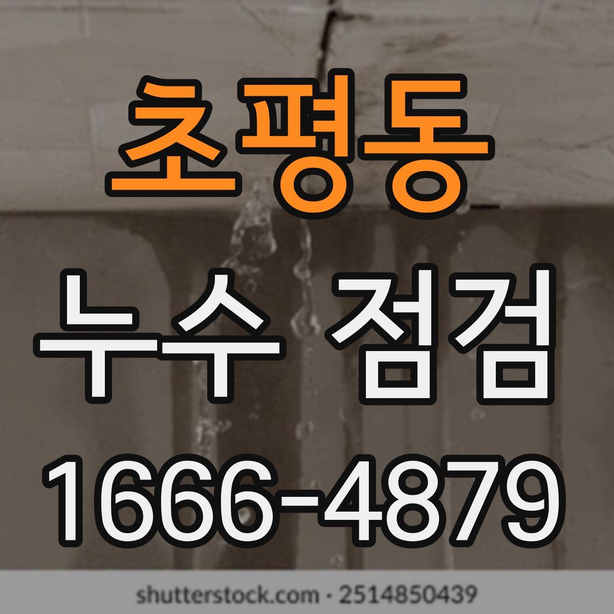 초평동 누수 점검