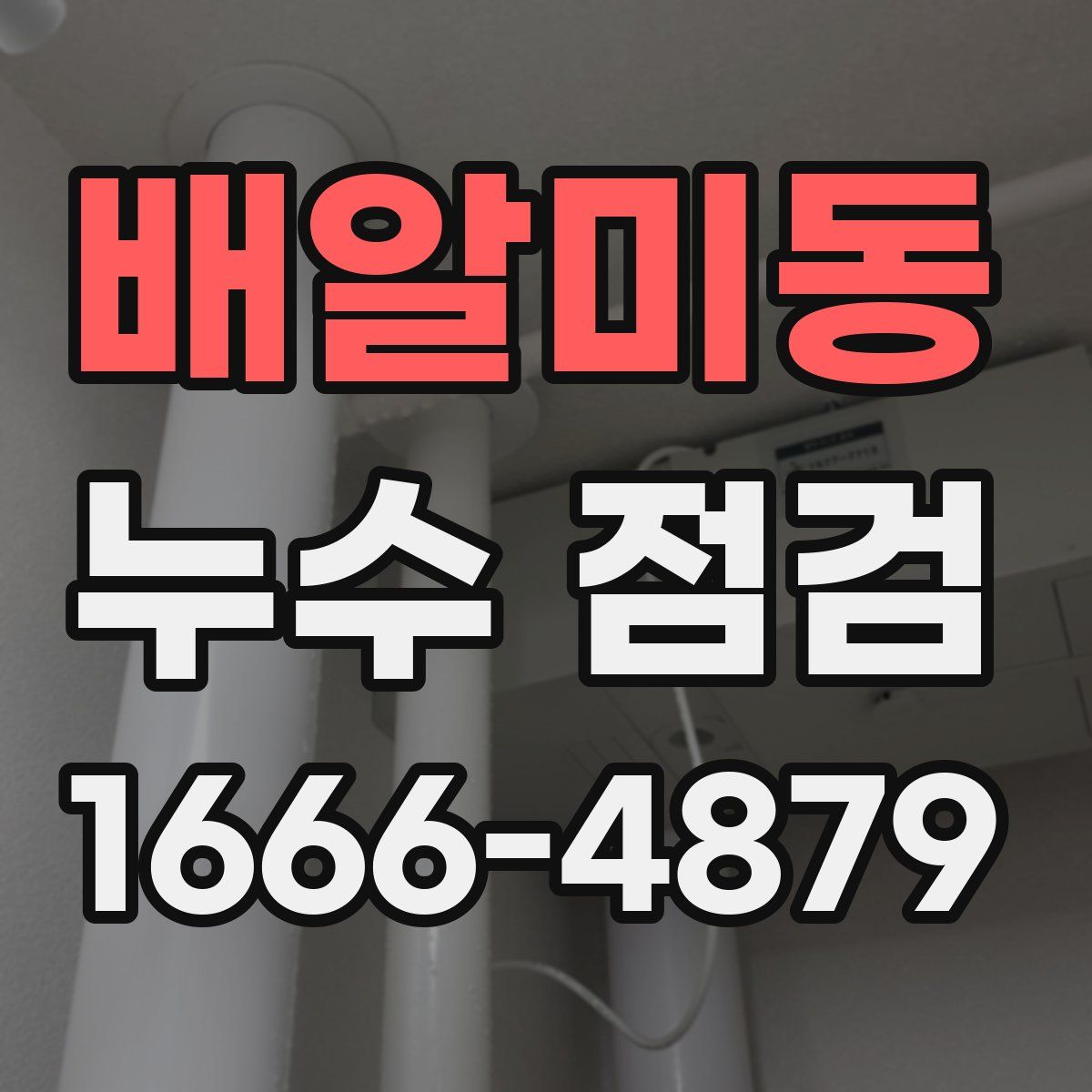 배알미동 누수 점검