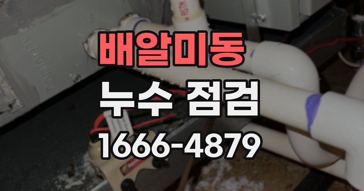배알미동 누수 점검