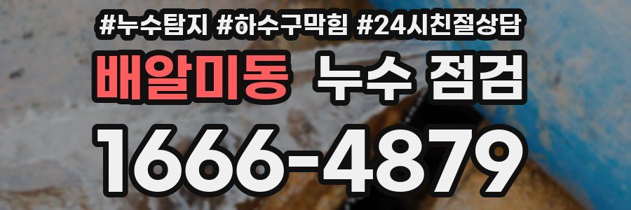배알미동 누수 점검