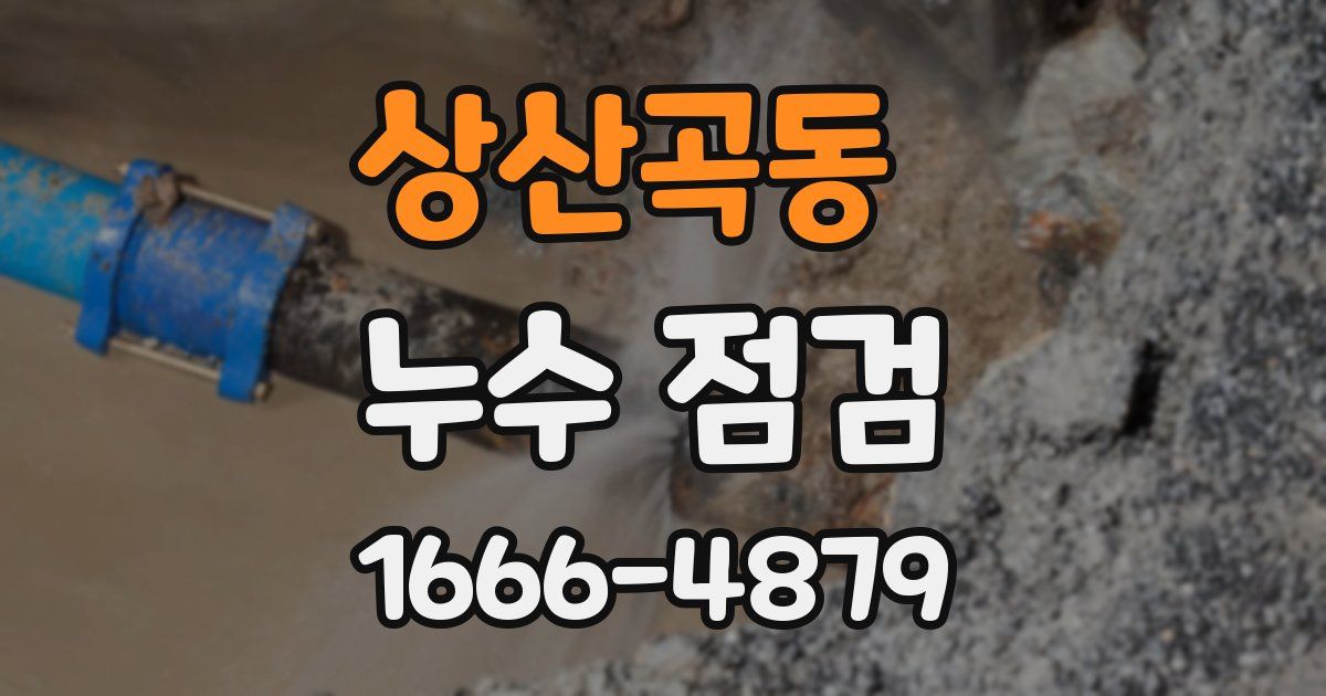 상산곡동 누수 점검