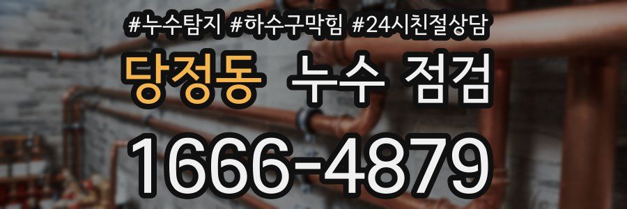 당정동 누수 점검