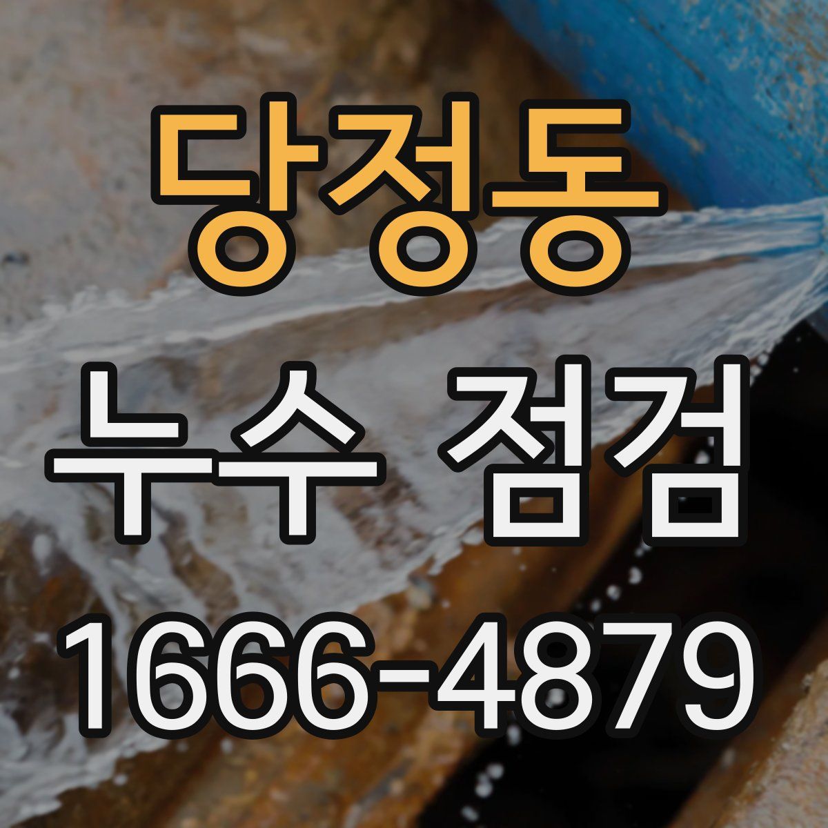 당정동 누수 점검