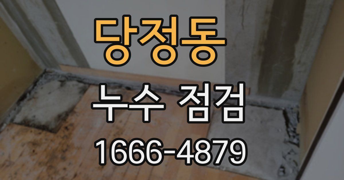당정동 누수 점검